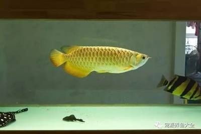 丹東市元寶區(qū)水貴坊店