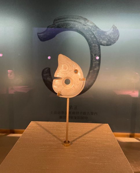 魚(yú)龍的寓意和象征 魚(yú)龍的寓意和象征 龍魚(yú)論壇 第8張