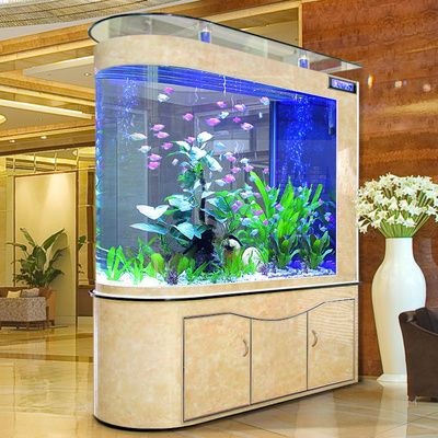 觀賞魚缸高端大氣：觀賞魚缸的高端大氣特點 觀賞魚缸高端大氣：觀賞魚缸的高端大氣特點 魚缸百科 第5張