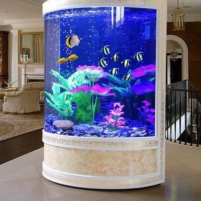 觀賞魚缸高端大氣：觀賞魚缸的高端大氣特點 觀賞魚缸高端大氣：觀賞魚缸的高端大氣特點 魚缸百科 第2張