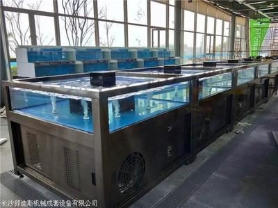 魚(yú)缸底濾的設(shè)計(jì)與創(chuàng)新：底濾魚(yú)缸過(guò)濾圖展示 魚(yú)缸底濾的設(shè)計(jì)與創(chuàng)新：底濾魚(yú)缸過(guò)濾圖展示 魚(yú)缸百科 第1張