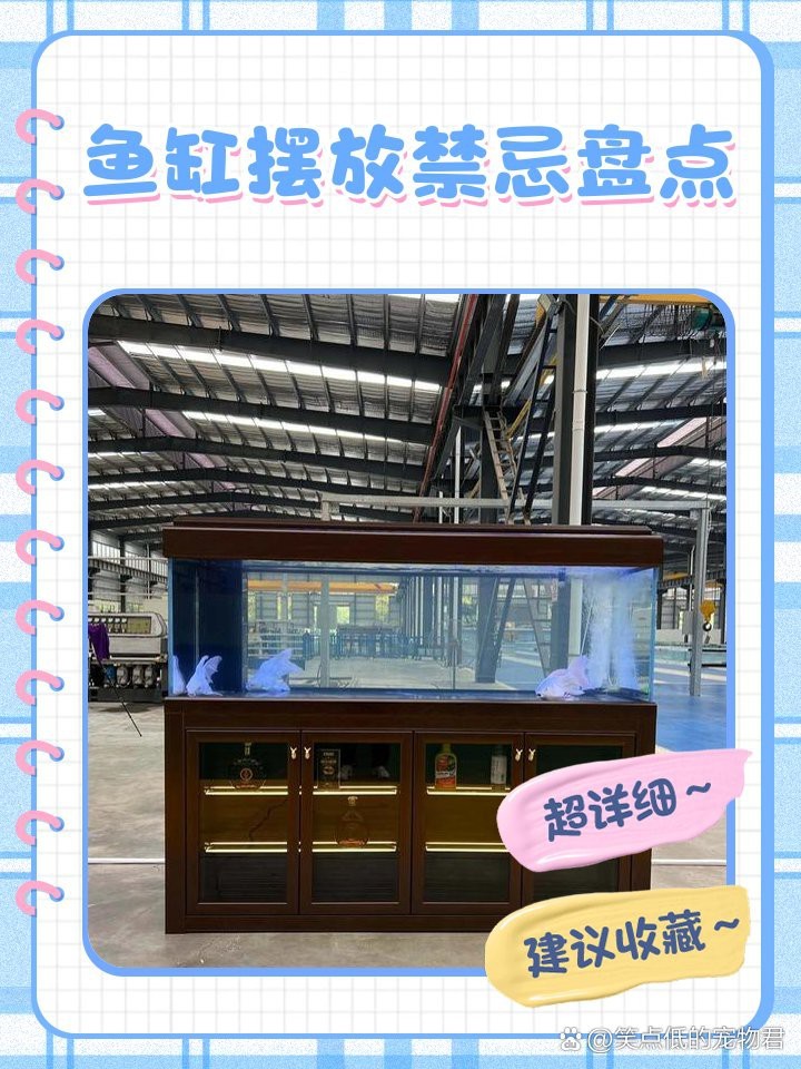 魚缸高度風水禁忌