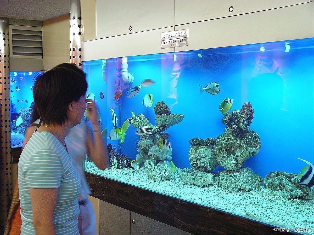 魚缸高度風水禁忌