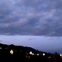 魟魚生完孩子最怕三個東西