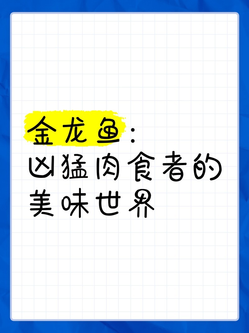 金龍魚很兇嗎 金龍魚很兇嗎 龍魚百科 第8張