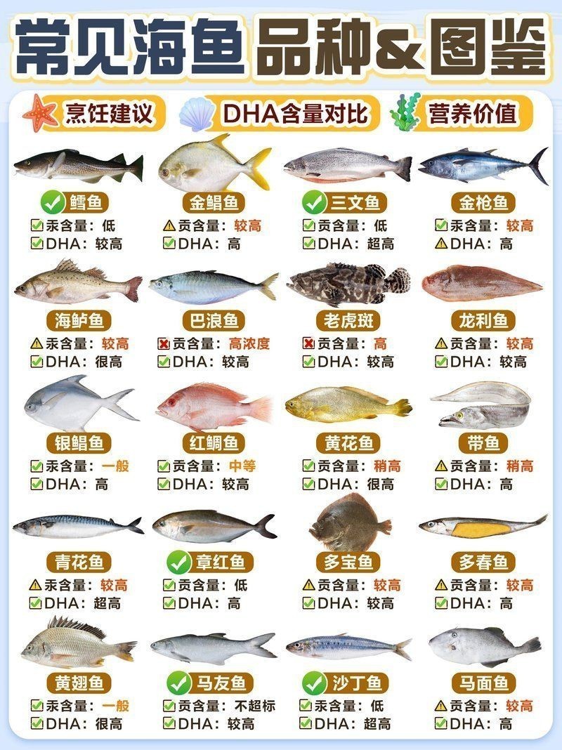 海魚大全300種