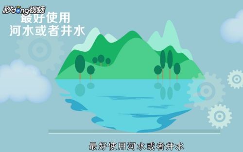 魚缸里的水應該用什么水：關于魚缸用水的一些詳細信息