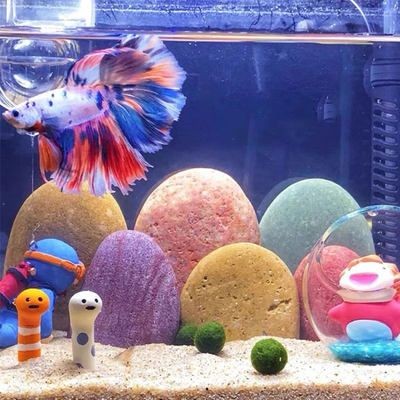魚缸里的彩石:魚缸彩石品牌對比魚缸彩石的重要性,魚缸彩石擺放方式 魚缸百科 第1張 魚缸里的彩石:魚缸彩石品牌對比魚缸彩石的重要性,魚缸彩石擺放方式 魚缸里的彩石:魚缸彩石品牌對比魚缸彩石的重要性,魚缸彩石擺放方式 魚缸百科 第1張