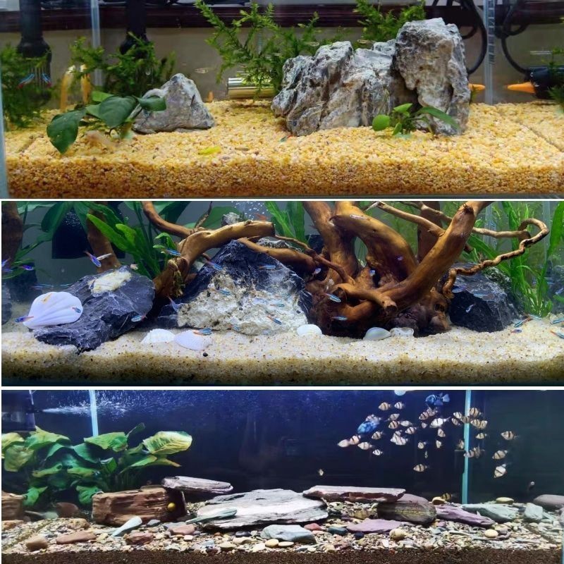 魚缸里的彩石:魚缸彩石品牌對比魚缸彩石的重要性,魚缸彩石擺放方式 魚缸百科 第3張 魚缸里的彩石:魚缸彩石品牌對比魚缸彩石的重要性,魚缸彩石擺放方式 魚缸里的彩石:魚缸彩石品牌對比魚缸彩石的重要性,魚缸彩石擺放方式 魚缸百科 第3張