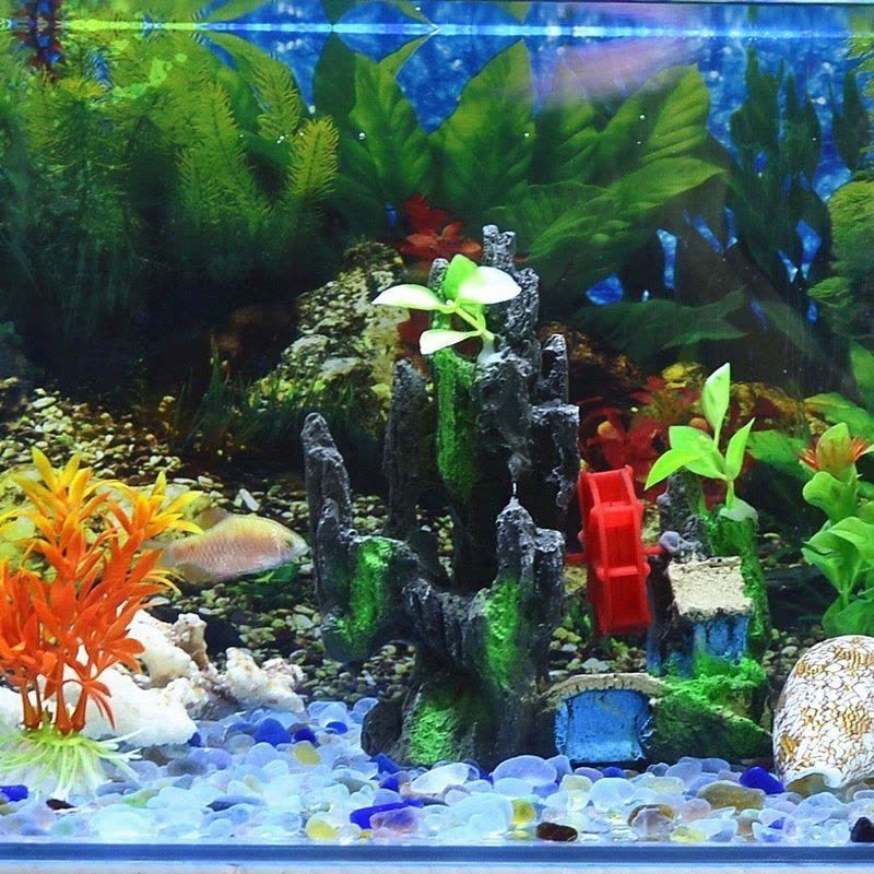 魚缸里的彩石:魚缸彩石品牌對比魚缸彩石的重要性,魚缸彩石擺放方式 魚缸百科 第4張 魚缸里的彩石:魚缸彩石品牌對比魚缸彩石的重要性,魚缸彩石擺放方式 魚缸里的彩石:魚缸彩石品牌對比魚缸彩石的重要性,魚缸彩石擺放方式 魚缸百科 第4張