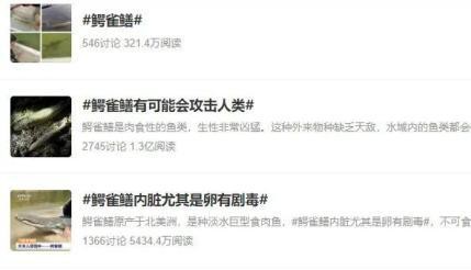 鱷雀鱔咬人會中毒嗎