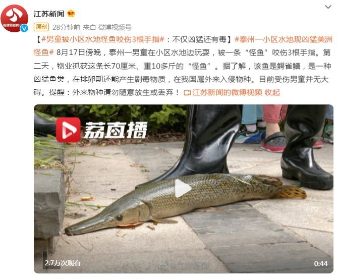 鱷雀鱔咬人會中毒嗎