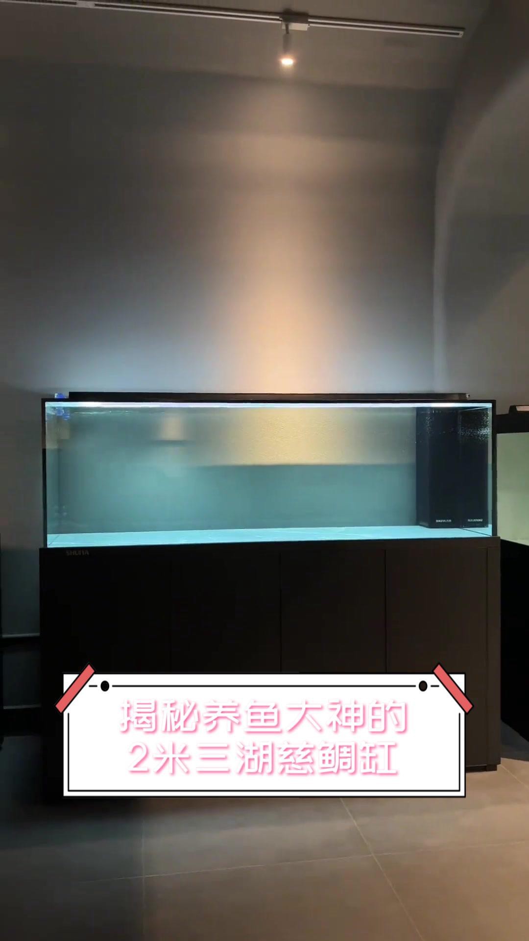 2米長的魚缸建議養(yǎng)什么魚好