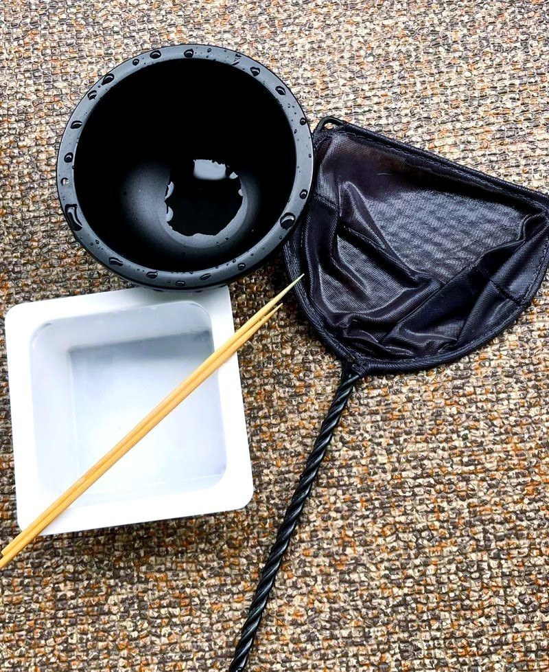防止魚卵發白的有效方法 防止魚卵發白的有效方法 龍魚論壇 第12張