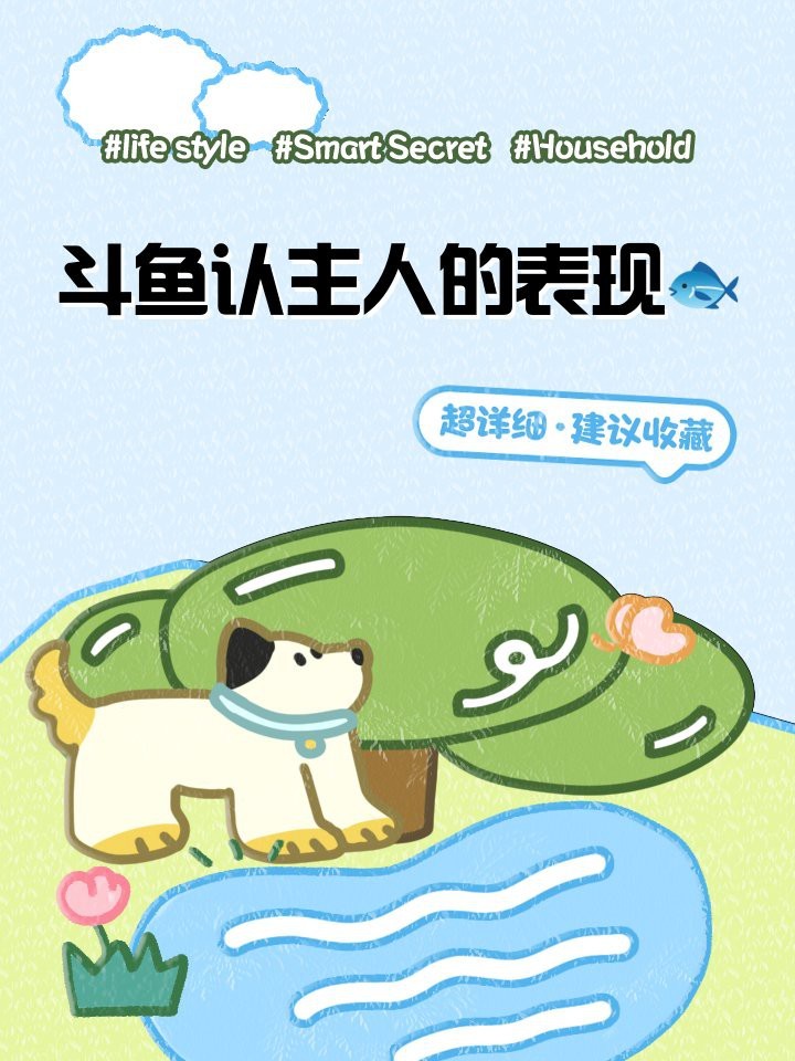 十大認主人魚 十大認主人魚 龍魚論壇 第2張