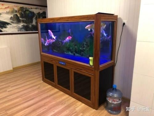 麒安魚缸怎么樣好用嗎：詳情麒安魚缸怎么樣好用嗎