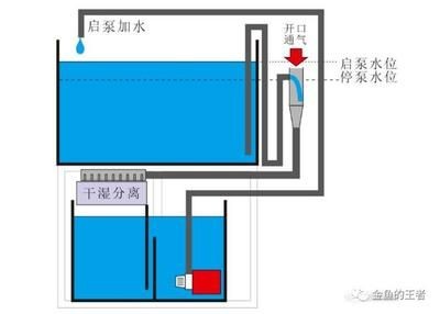 虹吸魚缸水循環(huán)裝置的使用：虹吸魚缸水循環(huán)示意圖制作步驟和注意事項