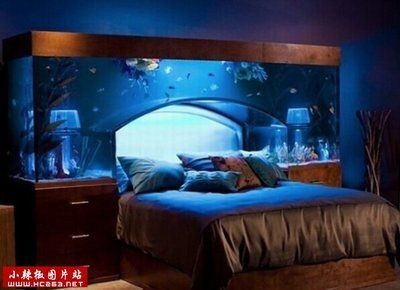 富豪家的魚缸類型或者樣式建議您了解更多的專業資料或者咨詢相關的專業人士：富豪家的魚缸是什么樣子的？ 富豪家的魚缸類型或者樣式建議您了解更多的專業資料或者咨詢相關的專業人士：富豪家的魚缸是什么樣子的？ 魚缸百科 第2張