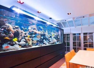 富豪家的魚缸類型或者樣式建議您了解更多的專業資料或者咨詢相關的專業人士：富豪家的魚缸是什么樣子的？ 富豪家的魚缸類型或者樣式建議您了解更多的專業資料或者咨詢相關的專業人士：富豪家的魚缸是什么樣子的？ 魚缸百科 第3張