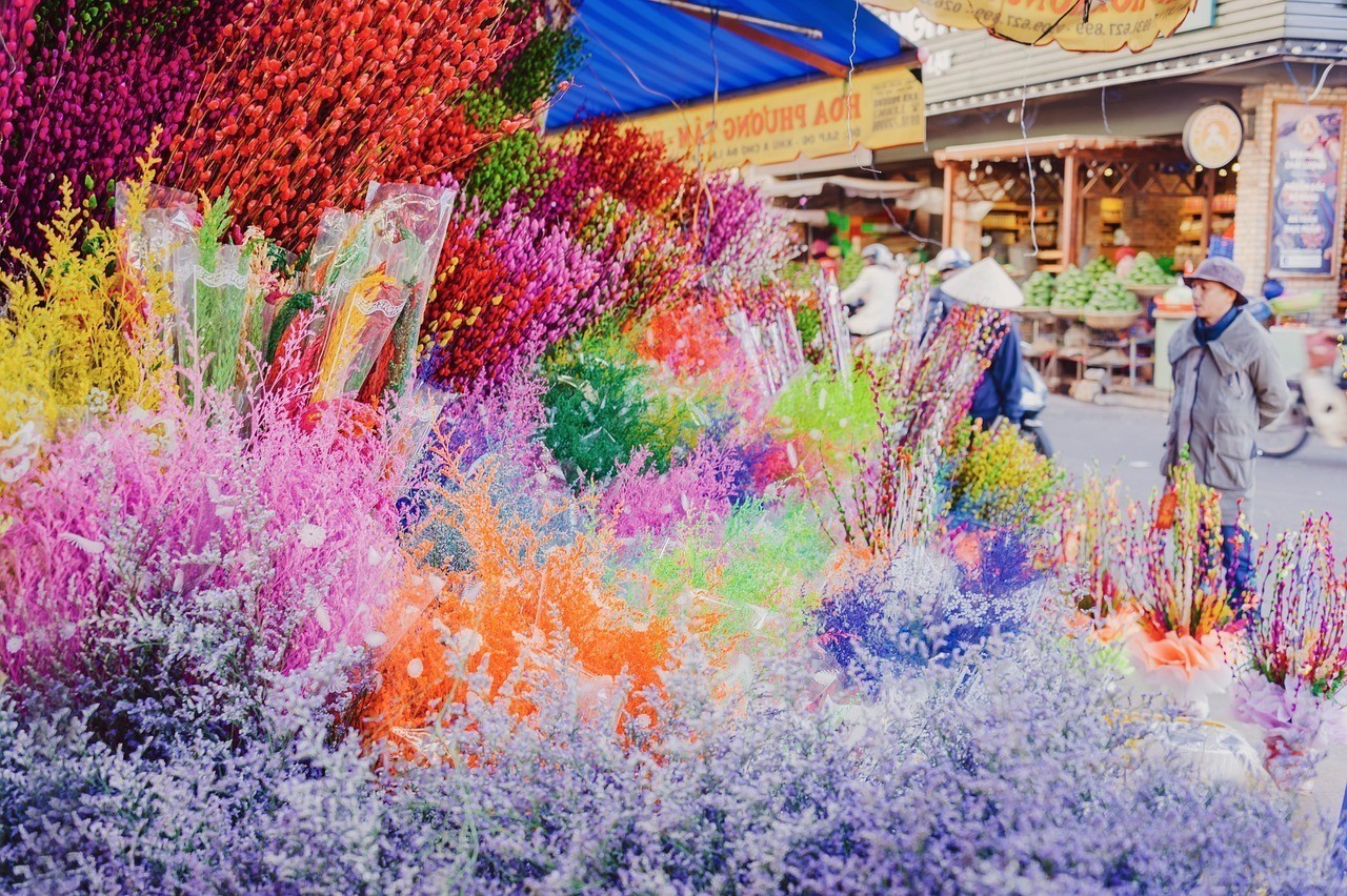 烏達區馬紅琴水族店 全國水族館企業名錄 第1張 烏達區馬紅琴水族店 烏達區馬紅琴水族店 全國水族館企業名錄 第1張