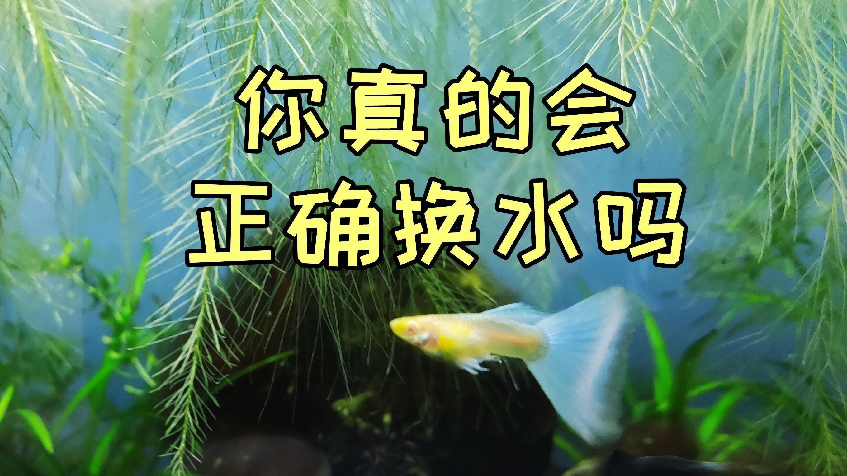 如何判斷是否需要換水？