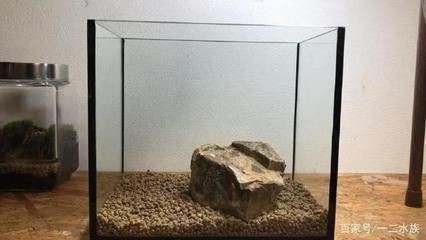 水草泥的養護秘籍水草泥的造景的藝術與技巧：水族造景的藝術與技巧 水草泥的養護秘籍水草泥的造景的藝術與技巧：水族造景的藝術與技巧 魚缸百科 第3張