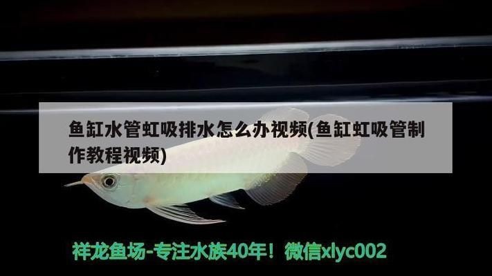 魚缸的虹吸裝置怎么做：魚缸虹吸裝置制作過程