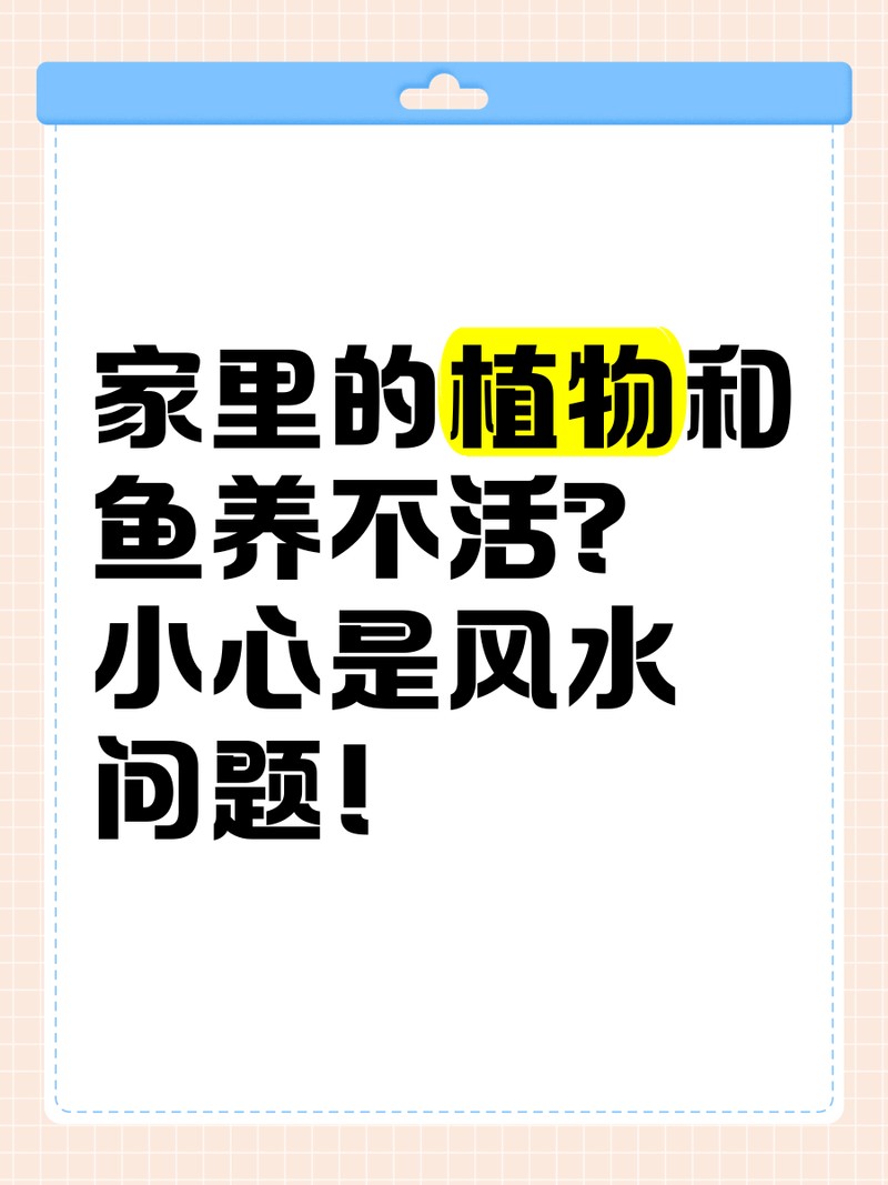 家里的魚一動不動風水