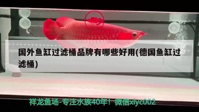 佳寶魚缸改造過濾系統：佳寶魚缸改造過濾系統改造案例，魚缸反氣舉安裝教程