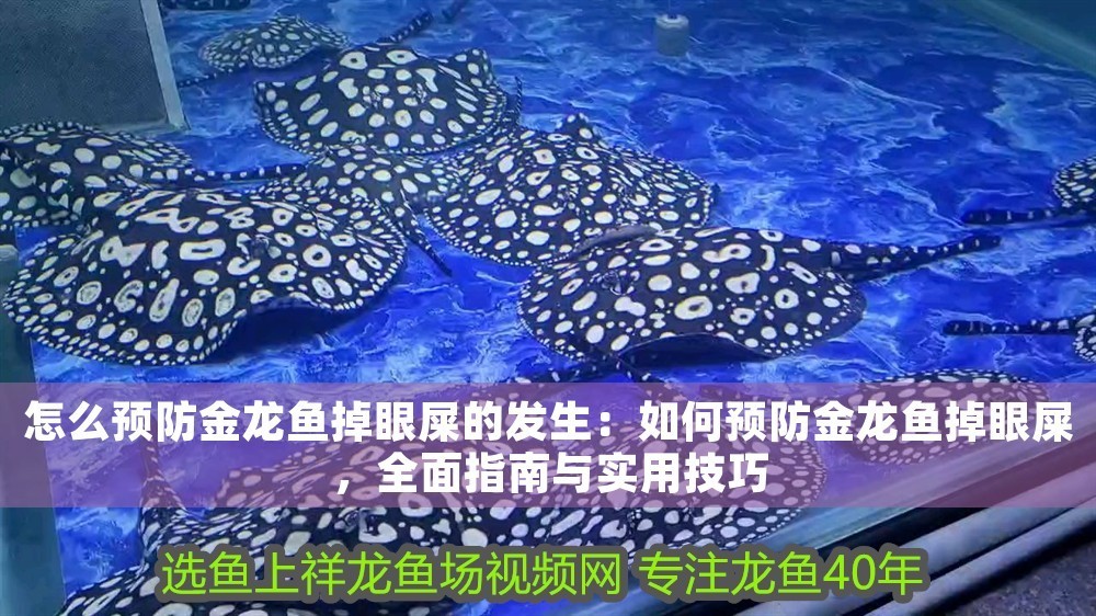 怎么預防金龍魚掉眼屎的發生：如何預防金龍魚掉眼屎，全面指南與實用技巧
