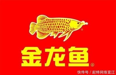 網絡語金龍魚是什么意思：“金龍魚”在網絡語境中的含義