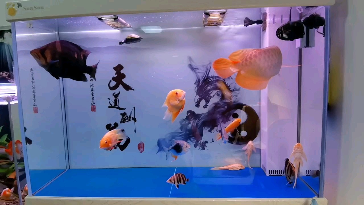 時間真快