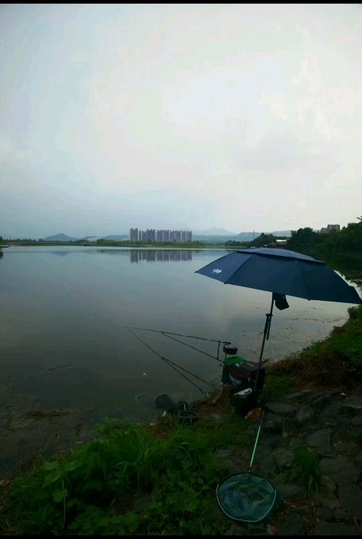我怎么感覺我在放生池呢？明明野釣