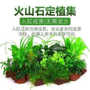 定制魚缸底柜要多少錢一平自制魚缸底柜選購技巧：定制魚缸底柜要多少錢一平自制魚缸底柜的選購技巧