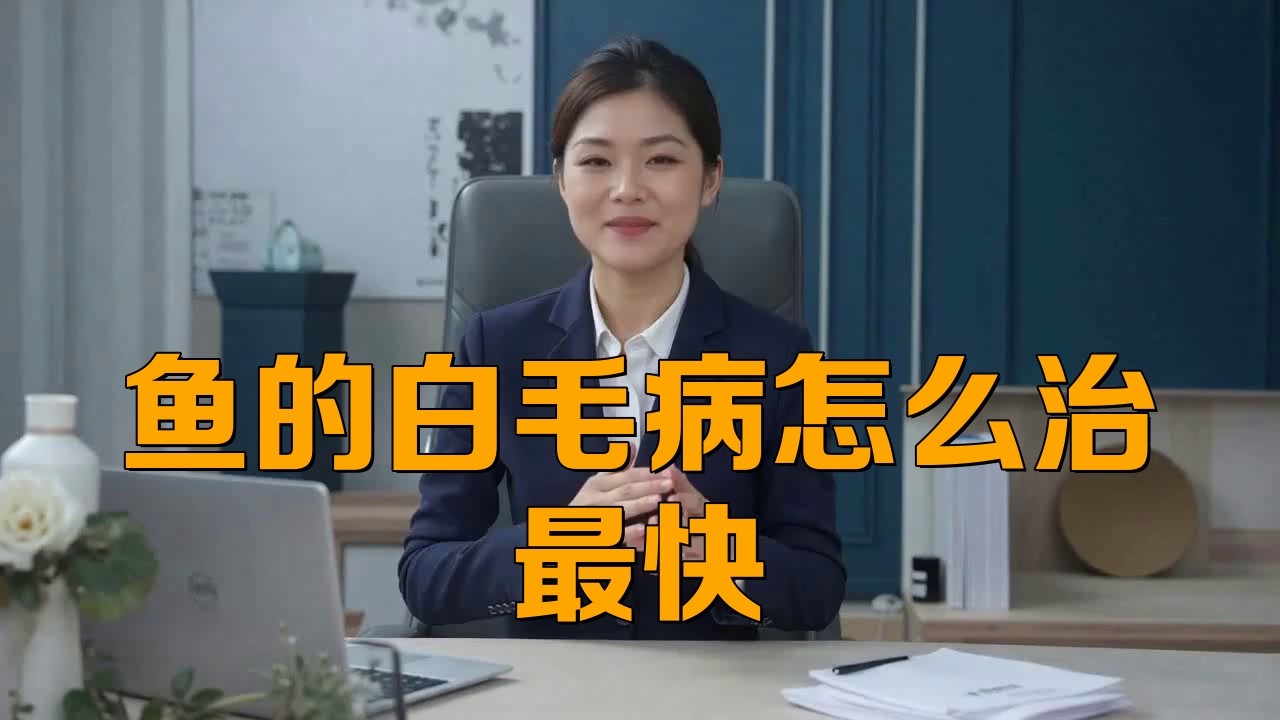 龍魚白霉病用什么藥最有效 龍魚白霉病用什么藥最有效 龍魚論壇 第4張