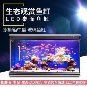 魚缸LED燈光照節(jié)能效果比較：魚缸led燈與熒光燈價(jià)格對(duì)比 魚缸LED燈光照節(jié)能效果比較：魚缸led燈與熒光燈價(jià)格對(duì)比 魚缸百科 第1張