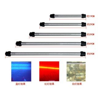 魚缸LED燈光照節(jié)能效果比較：魚缸led燈與熒光燈價(jià)格對(duì)比 魚缸LED燈光照節(jié)能效果比較：魚缸led燈與熒光燈價(jià)格對(duì)比 魚缸百科 第4張