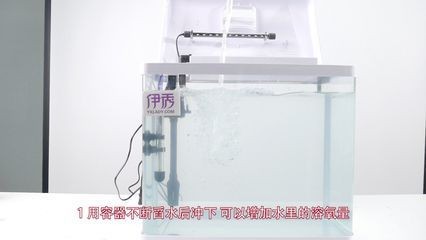 魚缸氧氣含量檢測方法：判斷魚缸中的氧氣含量是否充足需要綜合多方面因素考慮 魚缸氧氣含量檢測方法：判斷魚缸中的氧氣含量是否充足需要綜合多方面因素考慮 魚缸百科 第3張