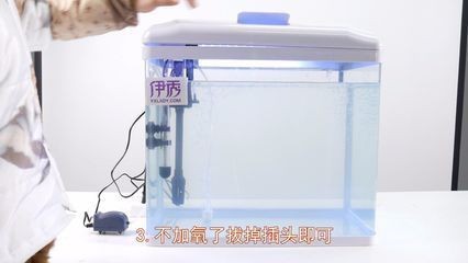 魚缸氧氣含量檢測方法：判斷魚缸中的氧氣含量是否充足需要綜合多方面因素考慮 魚缸氧氣含量檢測方法：判斷魚缸中的氧氣含量是否充足需要綜合多方面因素考慮 魚缸百科 第4張