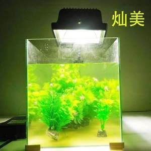 魚缸爆藻燈廠家：魚缸爆藻燈廠家選擇標(biāo)準(zhǔn)及其重要性