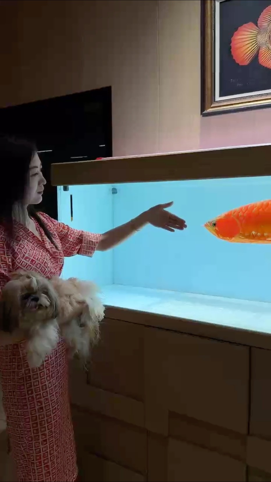養(yǎng)魚·擼狗～見自己[愛心] 都市卷王？不如觀魚、撫犬。 一缸澄澈，治愈內(nèi)卷焦慮；一狗憨態(tài)，揉碎鋼筋森林。