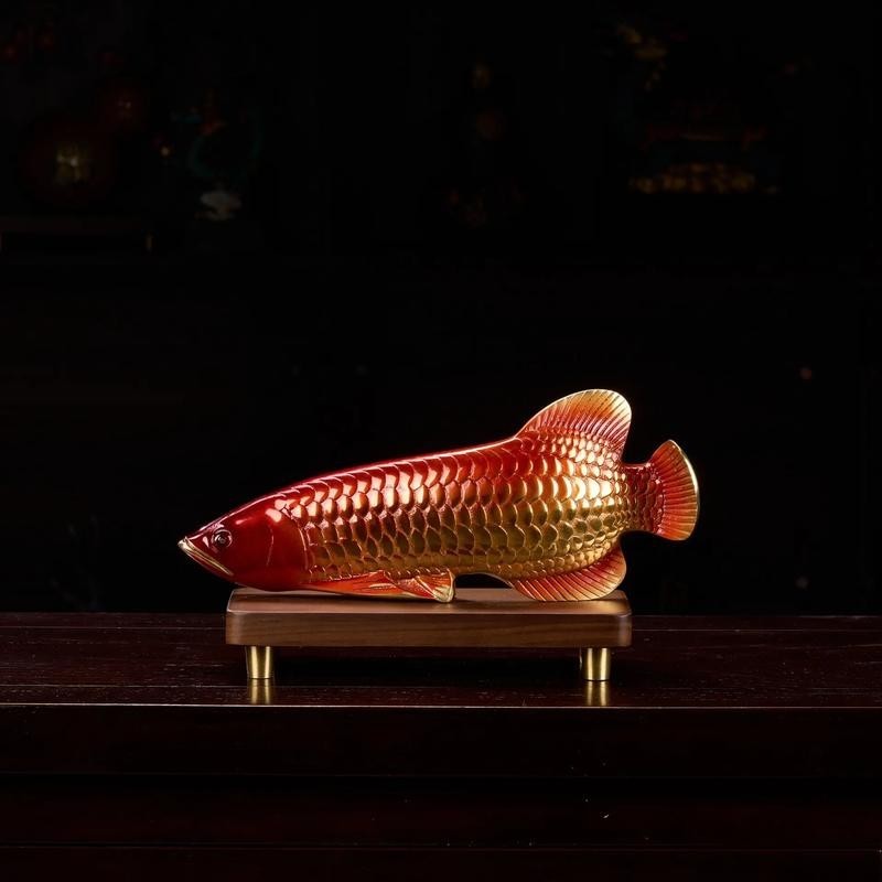黑色金龍魚(yú)圖片