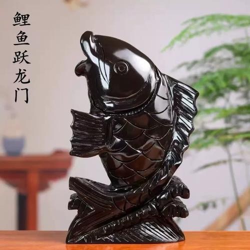 黑色金龍魚(yú)圖片