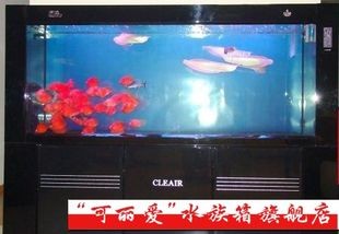 可麗愛魚缸旗艦店（可麗愛魚缸旗艦店是一個值得信賴的購物平臺，值得信賴的購物平臺）