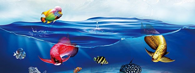 觀賞魚交易平臺app