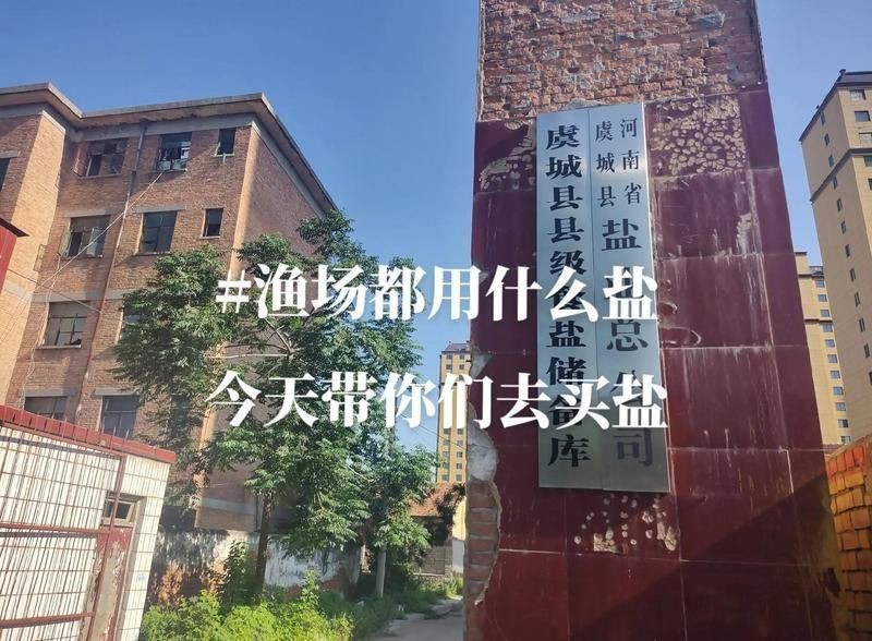 紅箭魚放鹽的正確方法