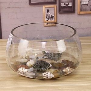 方魚缸和圓魚缸選擇哪種類型的魚缸更適合取決于您的個人偏好：方魚缸和圓魚缸各有優缺點