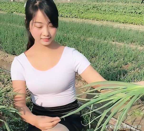 刀鰍不能隨便養(yǎng)的原因