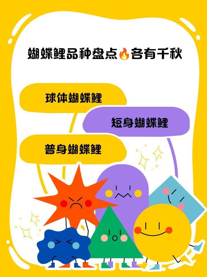 蝴蝶鯉有幾種哪幾種最好 蝴蝶鯉有幾種哪幾種最好 龍魚論壇 第7張