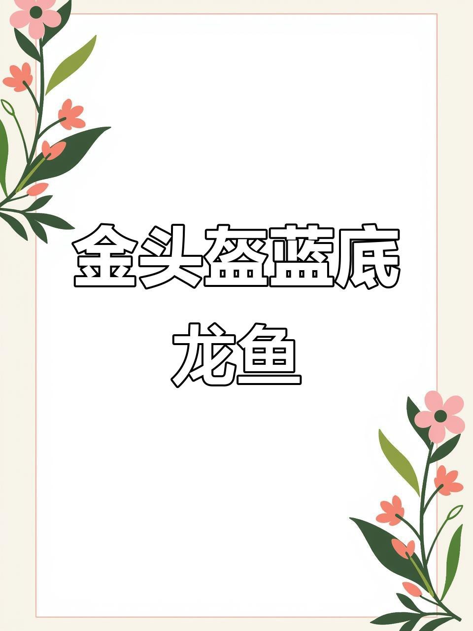 古典龍魚跟藍底龍魚的區別 古典龍魚跟藍底龍魚的區別 龍魚論壇 第4張
